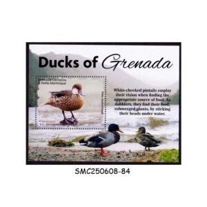 Stamps from GRENADA CARRIACOU & PETITE MARTINIQUE 2022 DUCKS OF GRENADA / BIRDS MIN/SHT MNH
