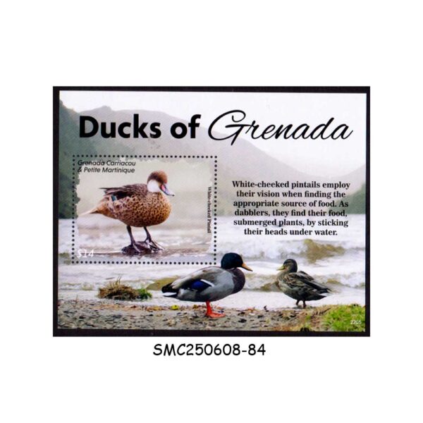 Stamps from GRENADA CARRIACOU & PETITE MARTINIQUE 2022 DUCKS OF GRENADA / BIRDS MIN/SHT MNH