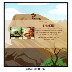 Stamps from GRENADA - 2022 SNAKES / REPTILES - MIN. SHEET MINT NH