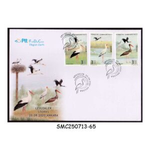 Cover from TURKEY - 2020 STORK / BIRDS - 3V - FDC