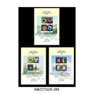 Stamps from INDIA - 2013 WILD FLOWERS OF INDIA - SET OF 3 BROCHURE - FDI
