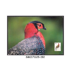 Stamps from INDIA 2006 WESTERN TRAGOPAN BIRD - PICTURE POSTCARD MINT
