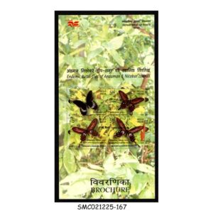 Stamps from INDIA - 2008 ENDEMIC BUTTERFLIES OF ANDAMAN & NICOBAR ISLANDS - BROCHURE - FDI