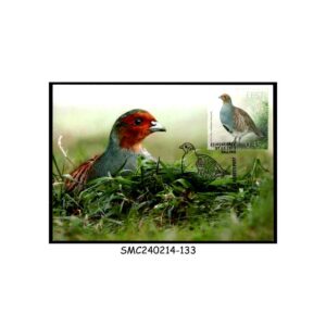 Stamps from ESTONIA - 2013 BIRD OF THE YEAR / GRAY PARTRIDGE - MAXI CARD - FDI
