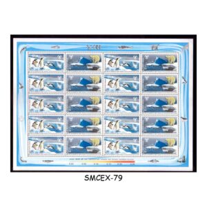 Stamps from INDIA - 2009 PRESERVE THE POLAR REGIONS & GLACIERS - FULL SHEETLET - MINT NH