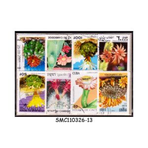 COLLECTION OF CACTUS FLOWER STAMPS FROM DIFFERENT COUNTRIES - 50V - USED