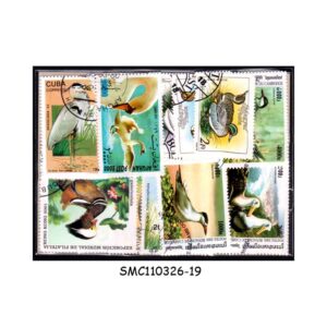 COLLECTION OF WATER BIRDS / DUCKS SWANS STAMPS FROM DIFFERENT COUNTRIES - 50V - USED