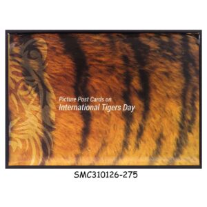 Stamps from INDIA - 2018 INTERNATIONAL TIGERS DAY - SET OF 8 PICTURE POSTCARDS IN A SPECIAL PACK