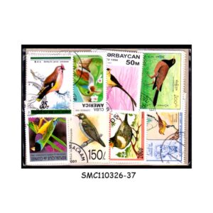 COLLECTION OF BIRDS STAMPS FROM DIFFERENT COUNTRIES - 50V - USED