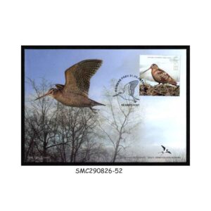 Stamps from ESTONIA - 2022 BIRD OF THE YEAR / EURASIAN WOODCOCK - FDC