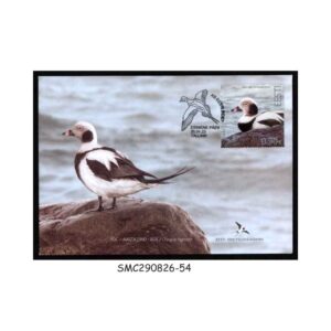 Stamps from ESTONIA - 2023 BIRD OF THE YEAR / LONG-TAILED DUCK / BIRDS - FDC
