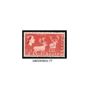 Stamps from SOUTH GEORGIA - 1963 1/2d QEII REINDEER SG#1 - MINT NH