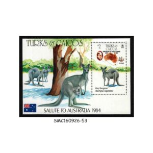 Stamps from TURKS & CAICOS ISLANDS - 1984 GREY KANGAROO / WILD ANIMALS - MIN. SHEET MNH