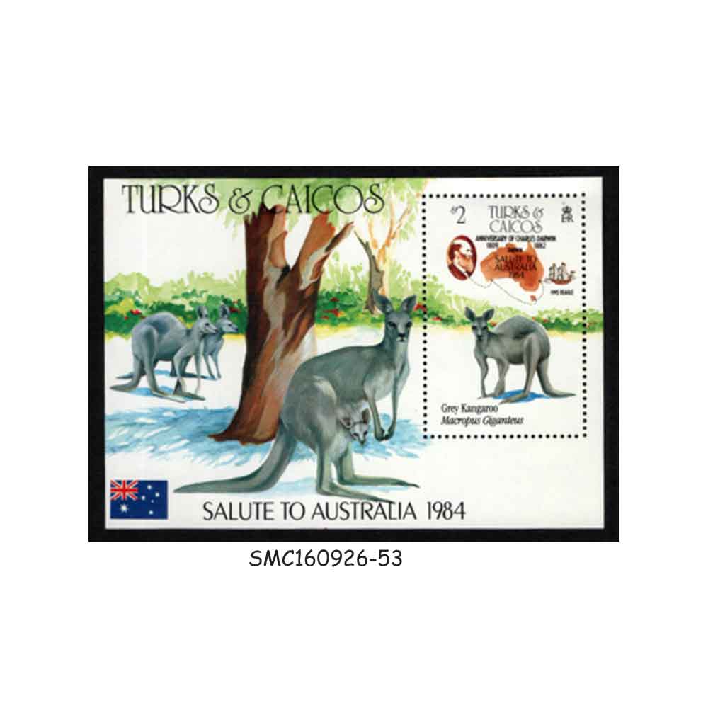 Stamps from TURKS & CAICOS ISLANDS - 1984 GREY KANGAROO / WILD ANIMALS - MIN. SHEET MNH